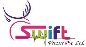 Canvas Logo